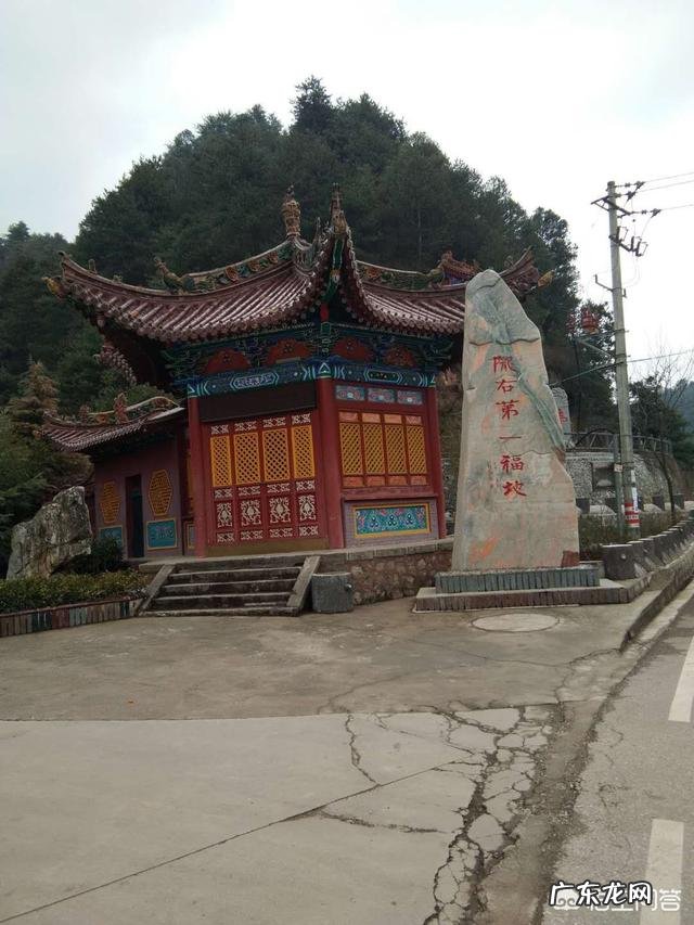 我们甘肃的郁金香漂亮吗?