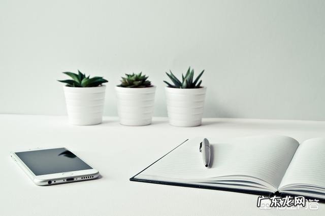 看书和听书哪个效果会更好,二者有什么差别?