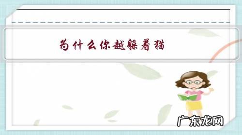 为什么你越躲着猫,猫却越愿意接近你?