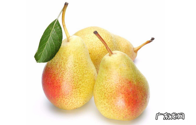 螃蟹相克的食物表 螃蟹禁忌食物有哪些