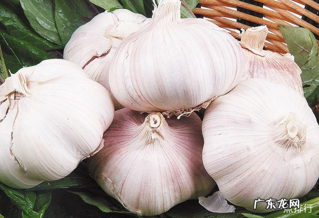 降血糖的食物有哪些 十大降血糖食物排行榜