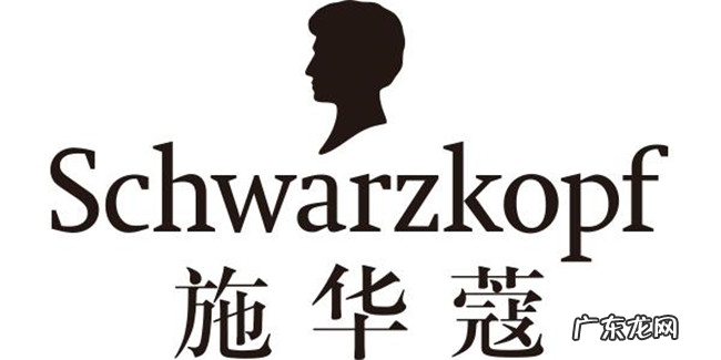 2019洗发水品牌排行榜 国产十大洗发水品牌排名