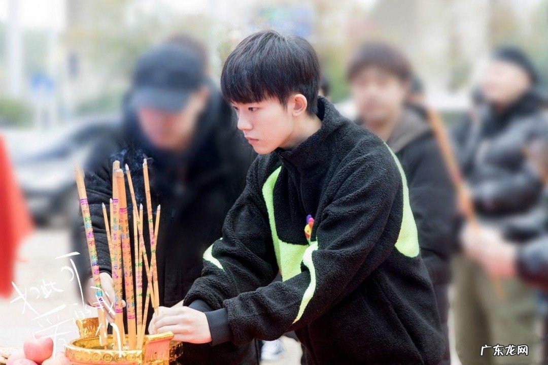 青青子衿电视剧更新时间