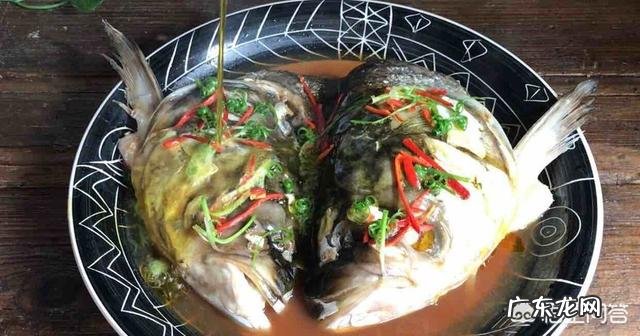 清蒸鱼头用什么鱼头最好?