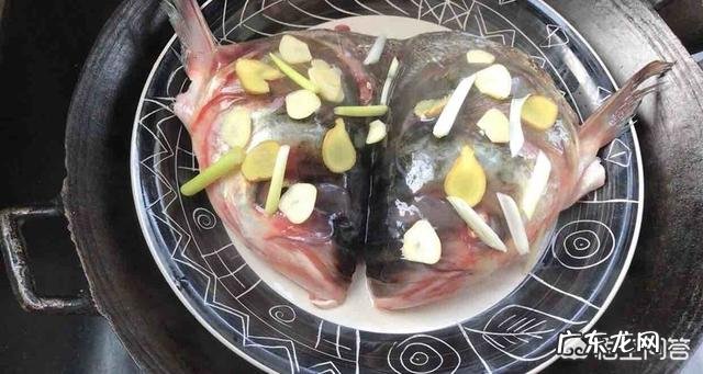 清蒸鱼头用什么鱼头最好?