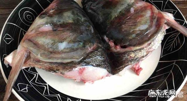 清蒸鱼头用什么鱼头最好?