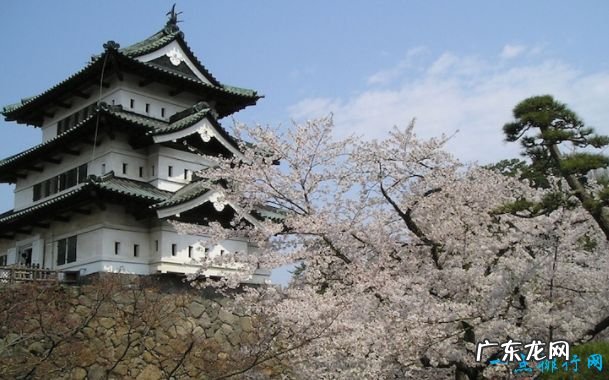 日本最美城堡排行有哪些古城堡你看过