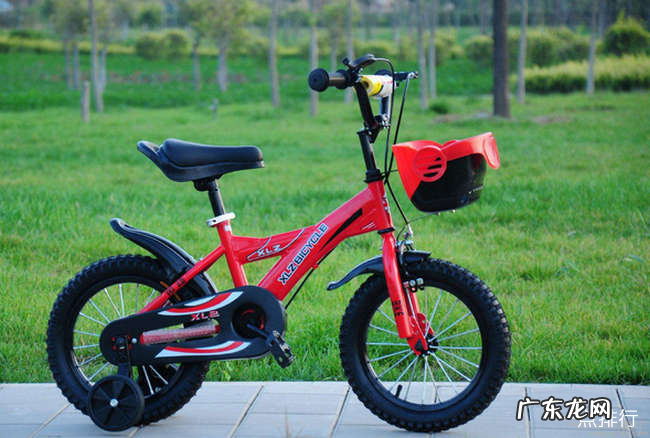 儿童自行车什么牌子好 2019十大儿童自行车品牌