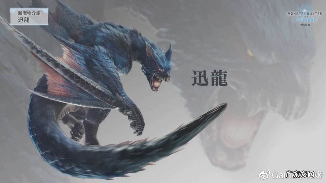 怪物猎人世界冰原迅龙弱什么属性