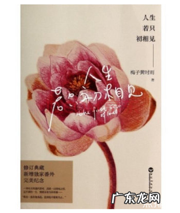 都市言情小说排行榜 好看的都市言情小说推荐