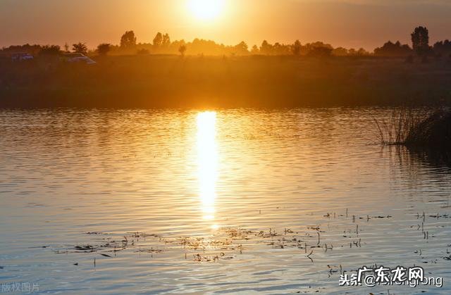 你认为最能反映夏天美景的诗句是什么?