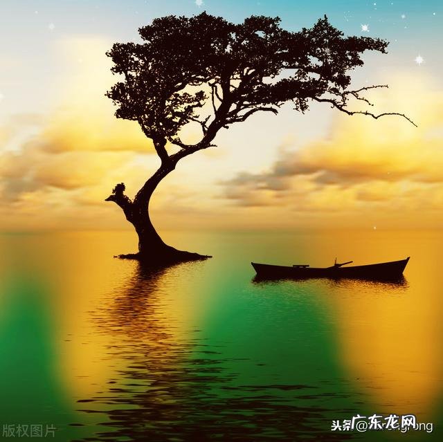 你认为最能反映夏天美景的诗句是什么?