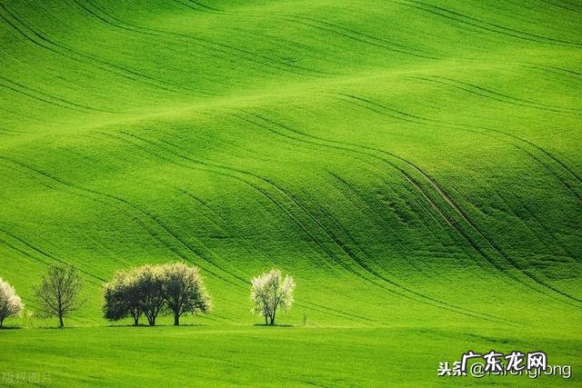 你认为最能反映夏天美景的诗句是什么?