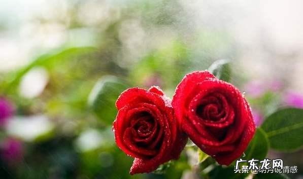 到底是什么维系着婚姻,又是什么导致婚姻破裂?