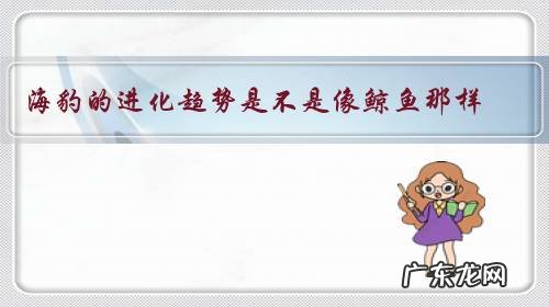 海豹的进化趋势是不是像鲸鱼那样?