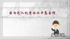 无人机哪家质量性能比较好 国内无人机整体水平怎么样？