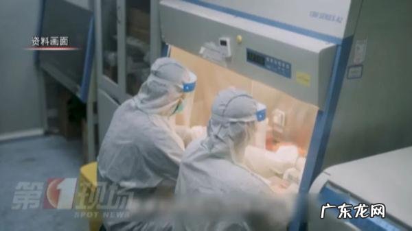 霍乱是怎么应对的