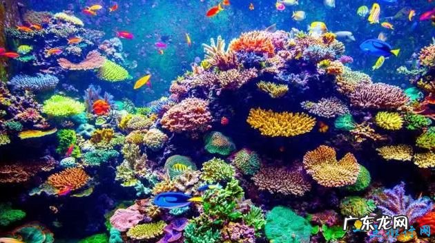 世界十大奇观 绝对让你惊叹