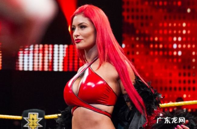 WWE十大最美女摔跤手 WWE中最漂亮的女摔角手盘点