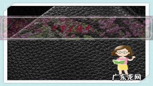 斗罗大陆中,比比东的双生武魂,真的是天花板的存在吗?