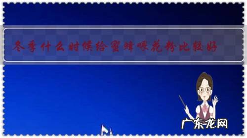 冬季什么时候给蜜蜂喂花粉比较好?怎样养好蜜蜂呢?