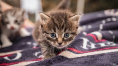 福州刘宝宝网络科技有限公司怎么样