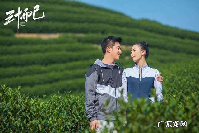 三十而已顾佳手离婚了吗