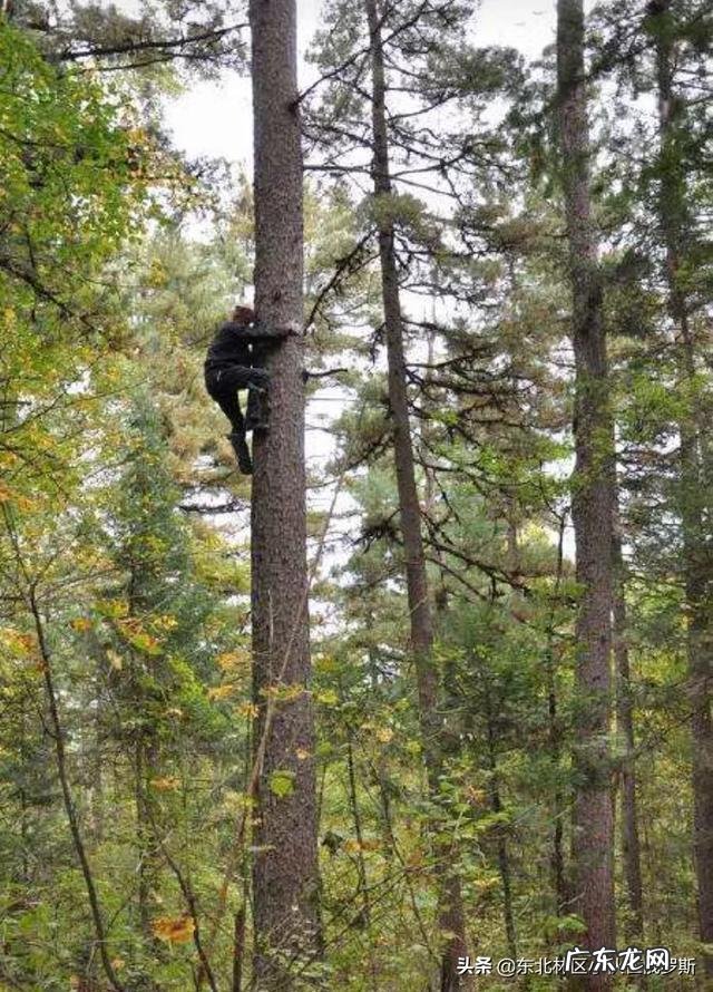 未来还有什么可以白手起家的行业?