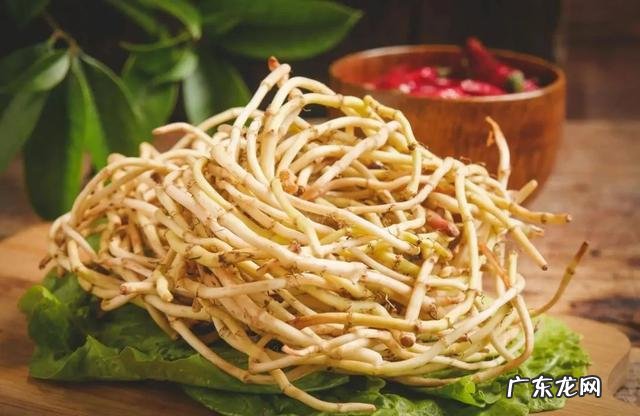 鱼腥草食疗有什么效果