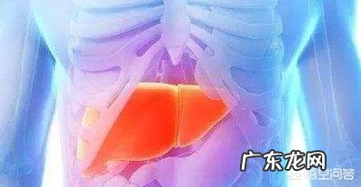 如何保肝护肝,养肝护肝的方法