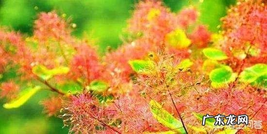 描写春天的词,你最喜欢哪一首?