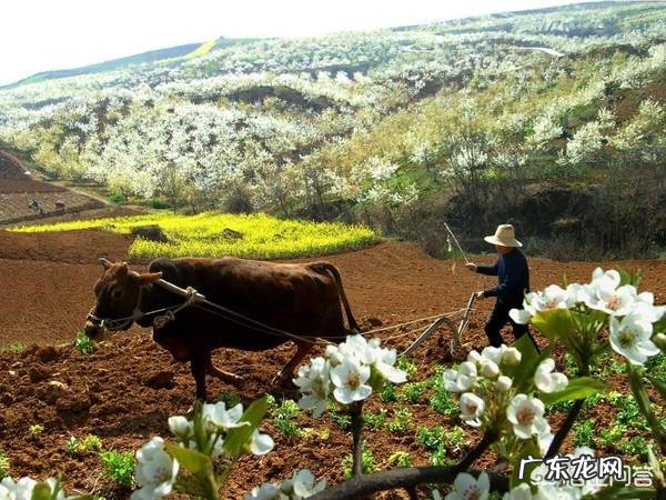 描写春天的词,你最喜欢哪一首?