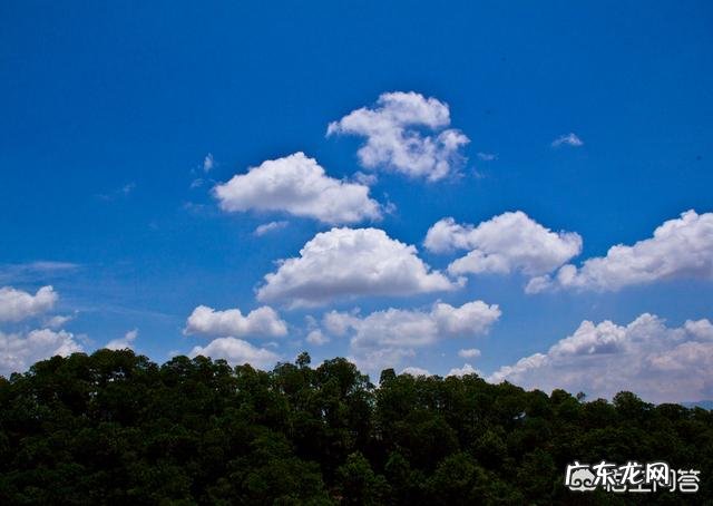 描写春天的词,你最喜欢哪一首?