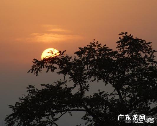 描写春天的词,你最喜欢哪一首?