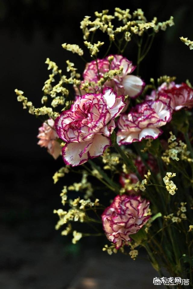 有哪些发朋友圈最经典的话语？