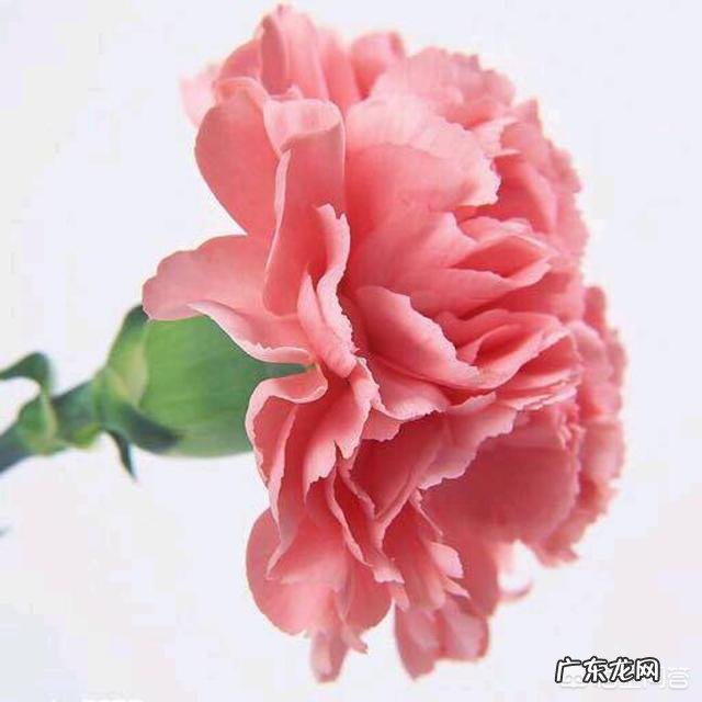 有哪些发朋友圈最经典的话语？