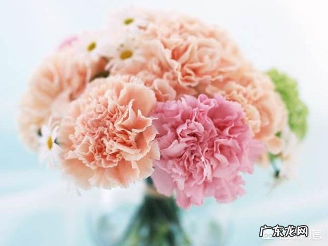 有哪些发朋友圈最经典的话语？