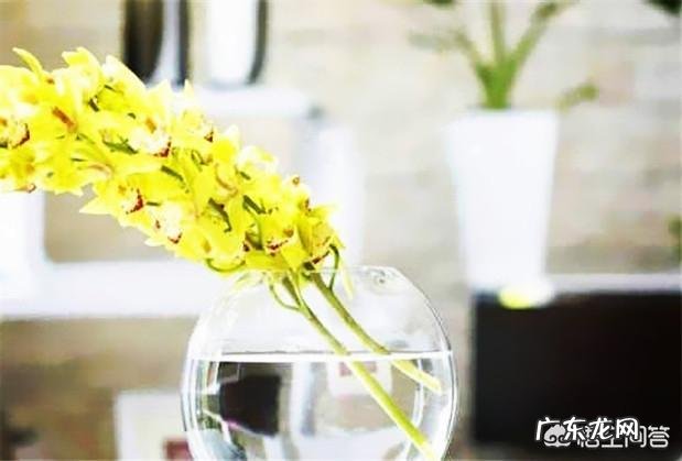 有哪些发朋友圈最经典的话语？