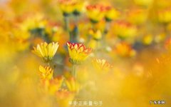 鼓舞人的正能量句