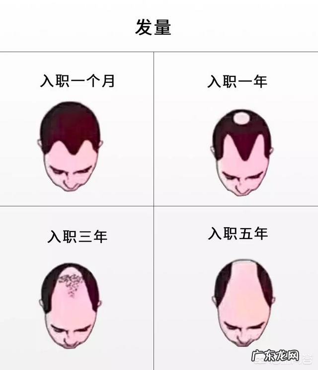 做程序员怎么样？