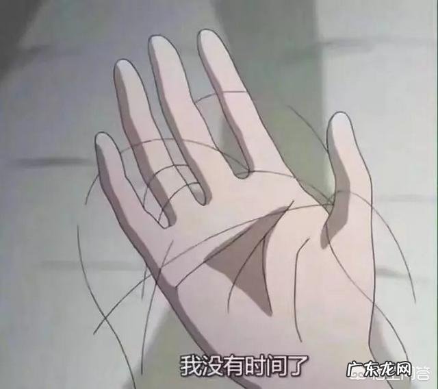 做程序员怎么样？