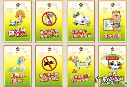 文明理智养狗,避免冲突从我做起,你做到了吗?