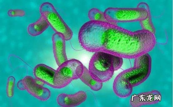 辨别霍乱病最好的方法