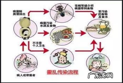 辨别霍乱病最好的方法