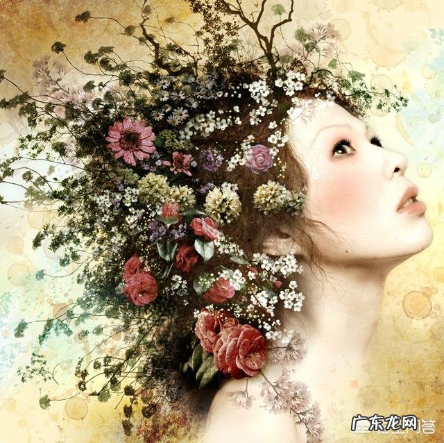 诗歌与散文在语言上的区别是什么？