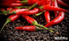 辣椒真的会辣死人吗？