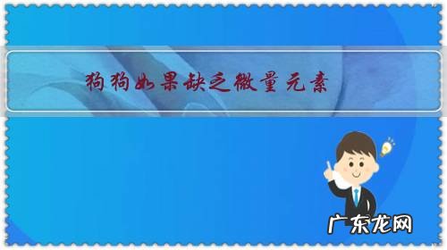 狗狗如果缺乏微量元素，会有哪些现象？