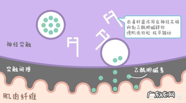 眼睛出现皱纹了,祛除眼睛皱纹的方法是什么