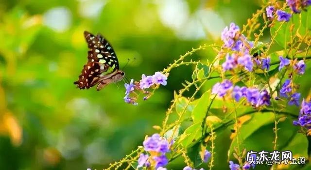 多次向女朋友借钱的男生值得交往吗