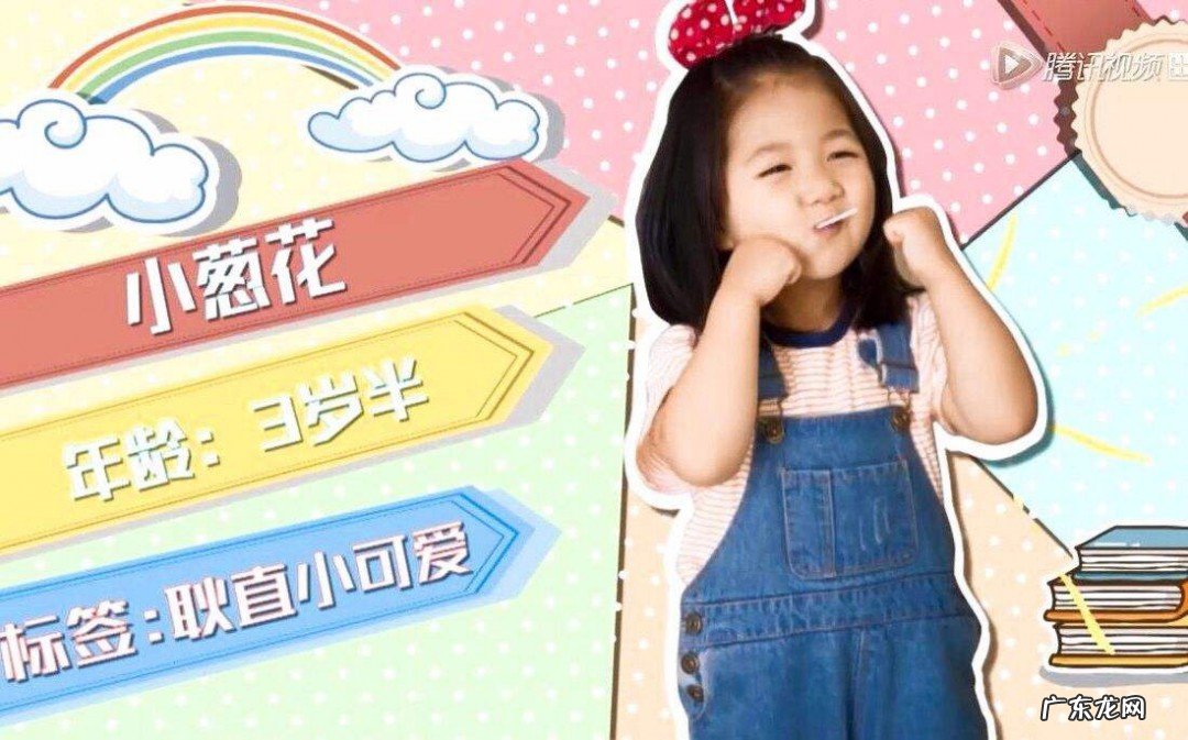 小葱花个人资料